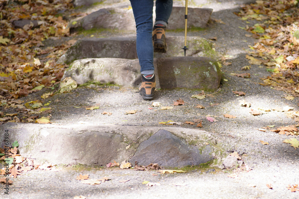 Fototapeta premium woman hiking up stone stairs at state park