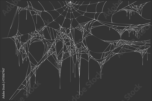 White spiderweb on black background photo