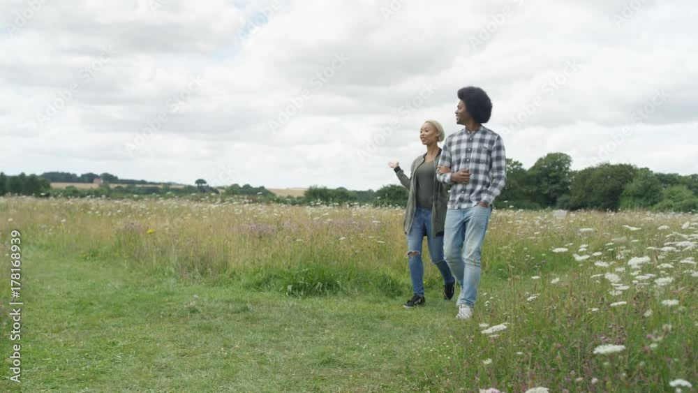Happy romantic couple walking in the countryside Happy romantic couple walking in the countryside