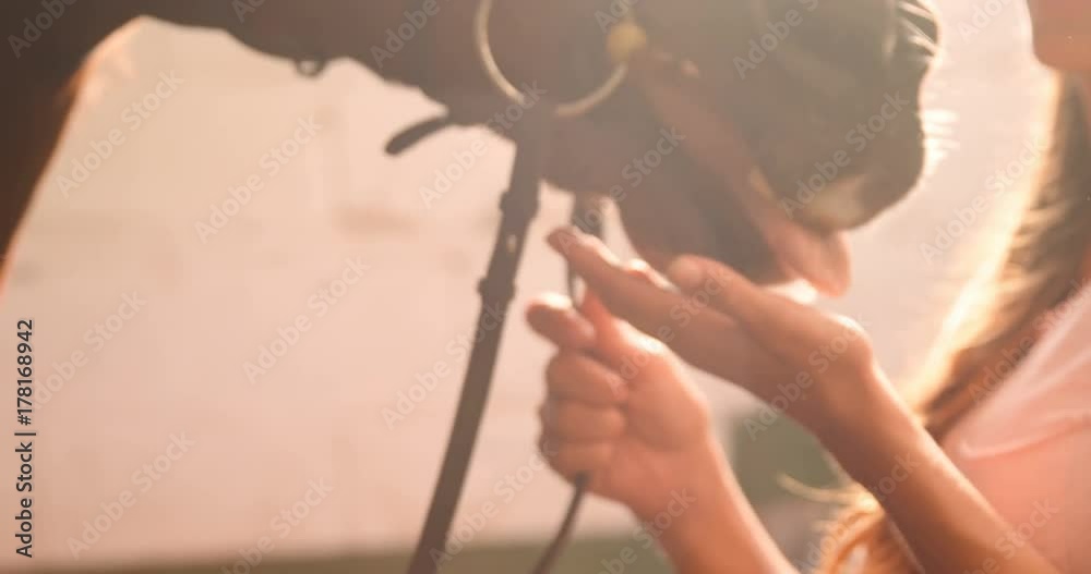 Woman stroking horse in stable 