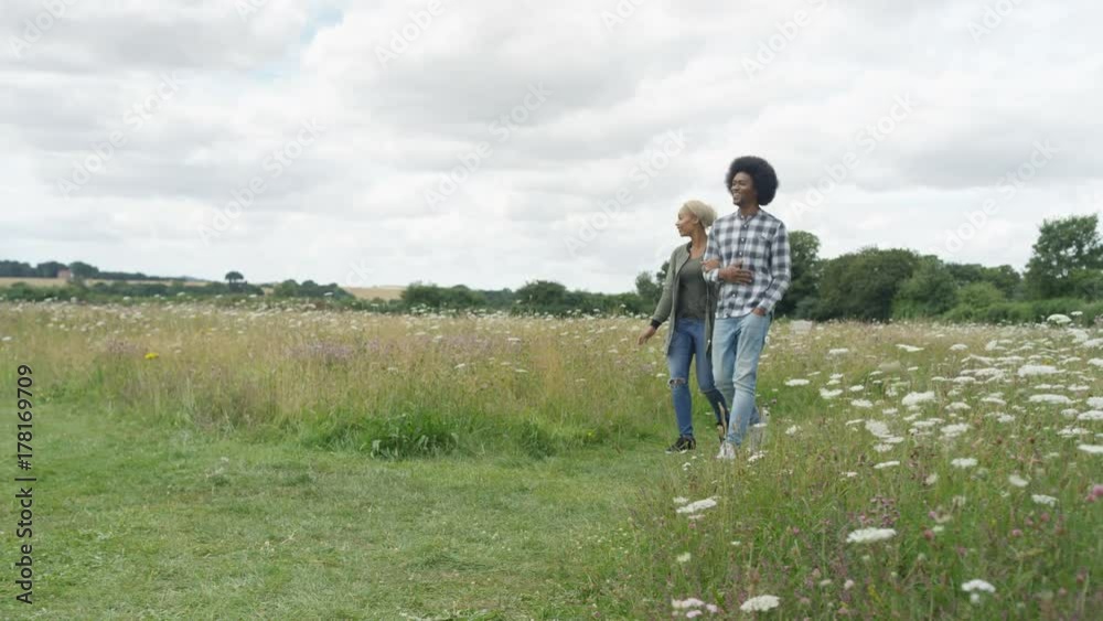 Happy romantic couple walking in the countryside Happy romantic couple walking in the countryside