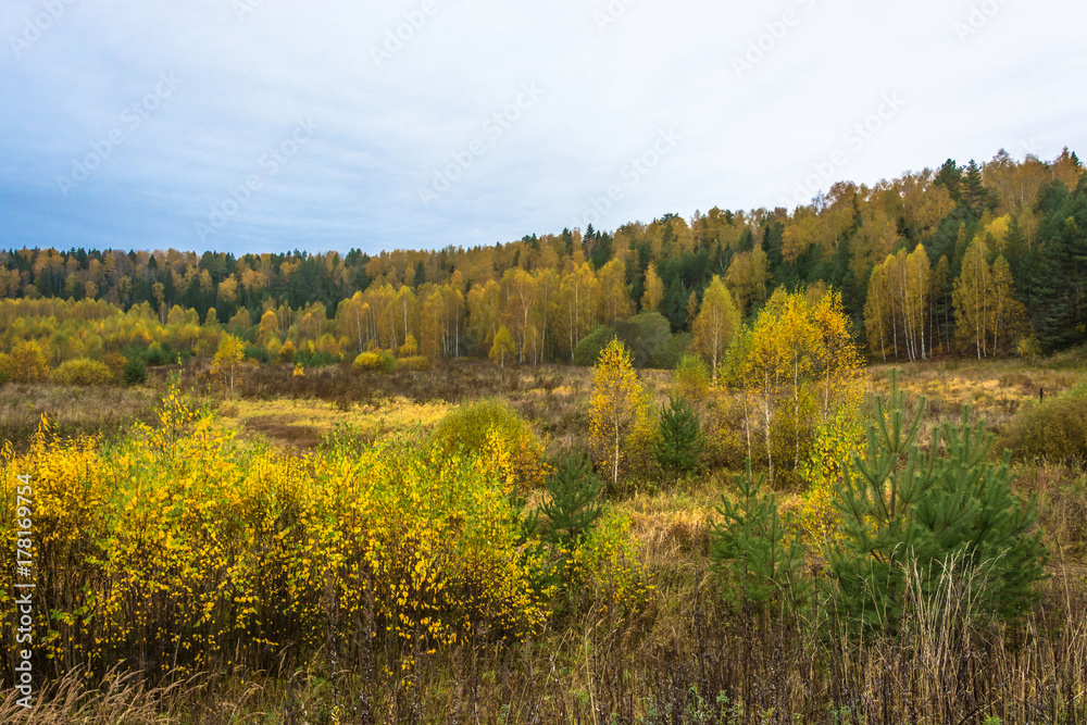A beautiful autumn landscape.