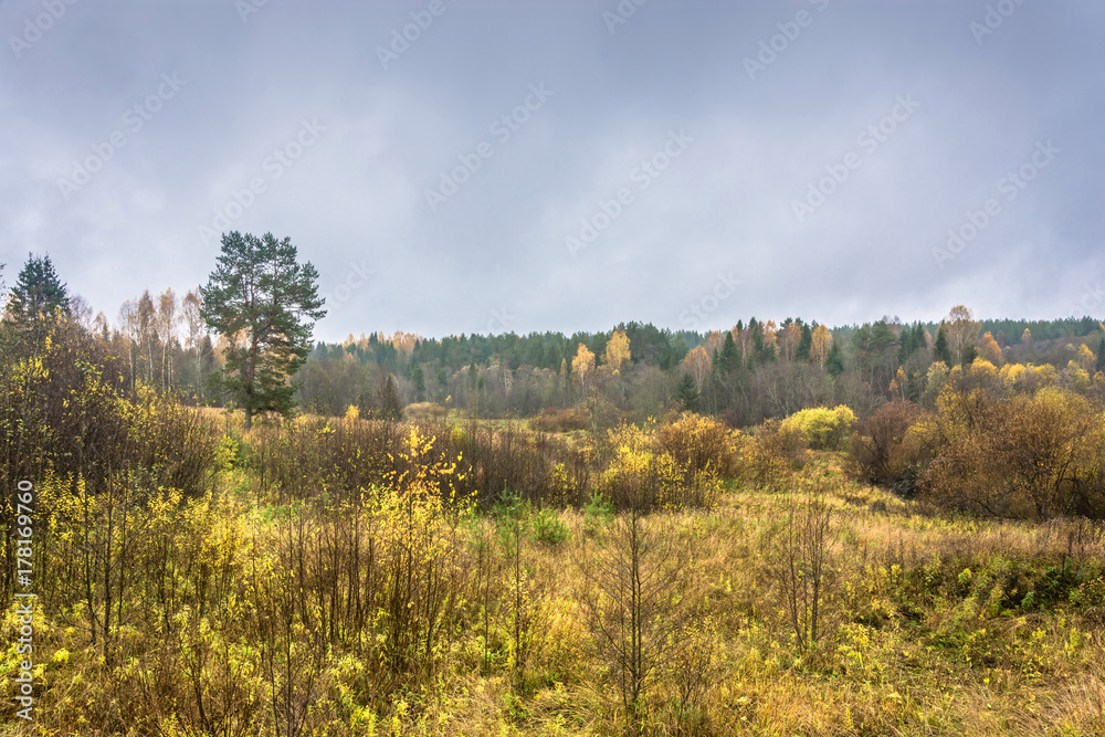 A beautiful autumn landscape. A beautiful autumn landscape.