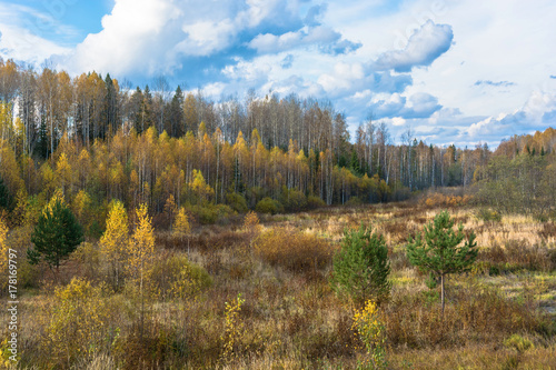 Golden autumn in the Kostroma region.