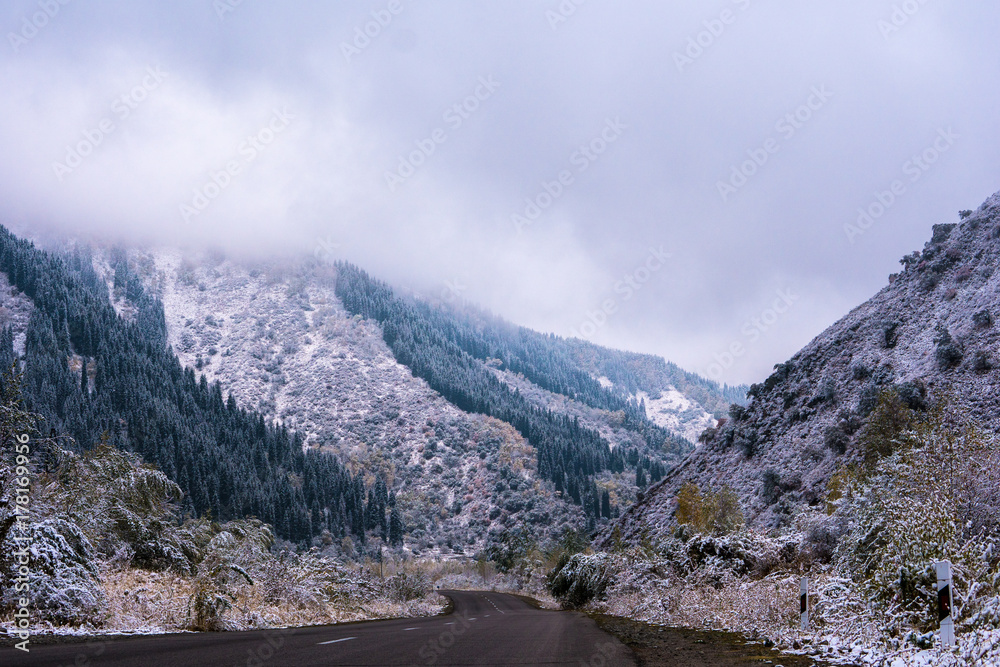 Winter road in the mountains. Fit-tree forest covered in fog mist. Winter road in the mountains. Fit-tree forest covered in fog mist.