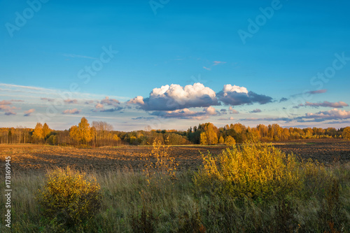 Fototapeta Naklejka Na Ścianę i Meble -  Autumn landscape in the Golden light of the setting sun.