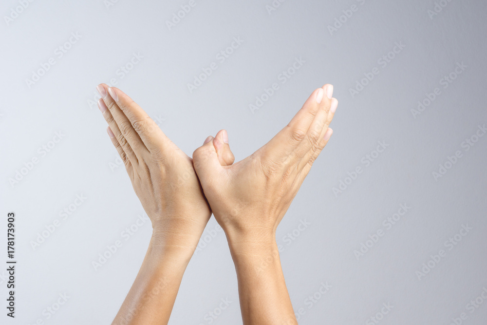 Hand making a gesture of bird or dove as a freedom symbol Hand making a gesture of bird or dove as a freedom symbol