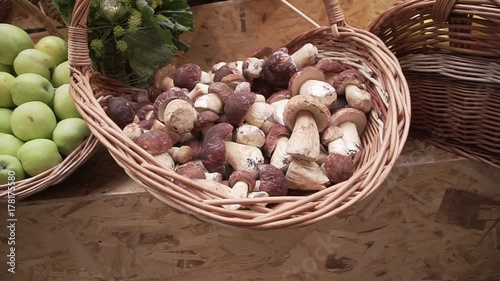 Many boletus edulis delicious organic mushrooms in a wooden wicker basket. Holiday autumn festival scene. Gourmet food,harvest and fall concept. photo