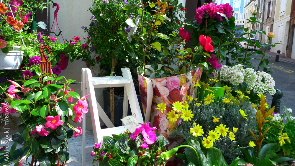 Obraz premium flower set