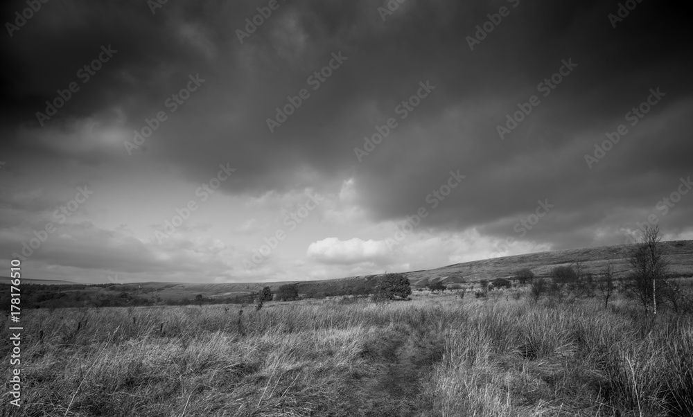 Black and white countryside scene