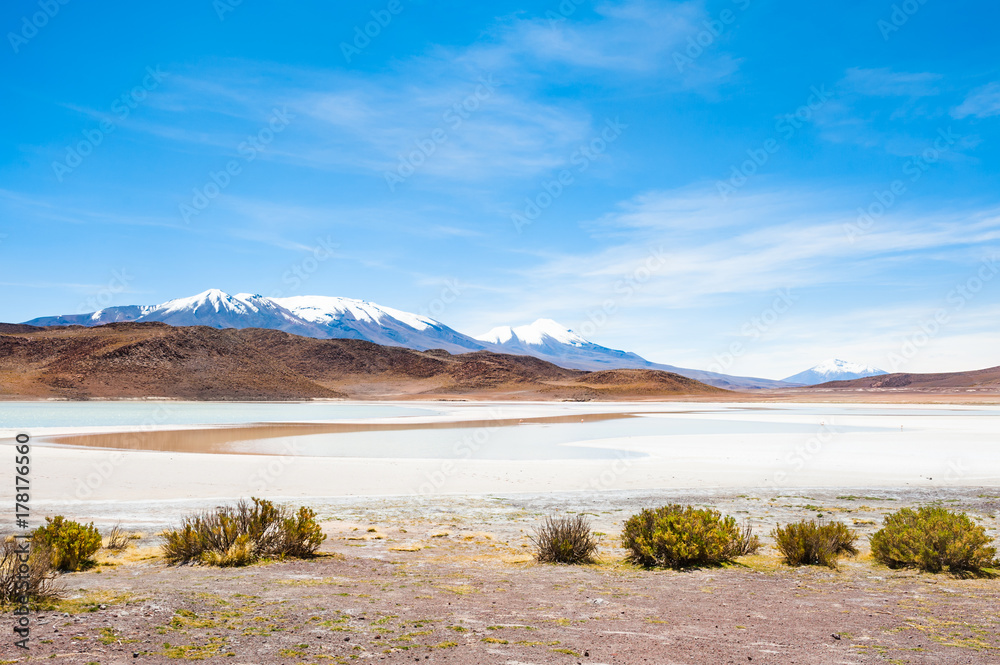 High-altitude lagoon and volcano in Altiplano, Bolivia