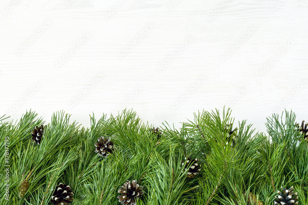 Obraz premium Сhristmas garland with undecorated pure green natural fir branches with cones isolated on white background