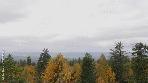 Autumn forest landscape with rock at the ending