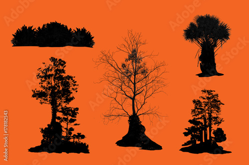 illustration with tree silhouette set isolated on orange background .- Tropical Asia.