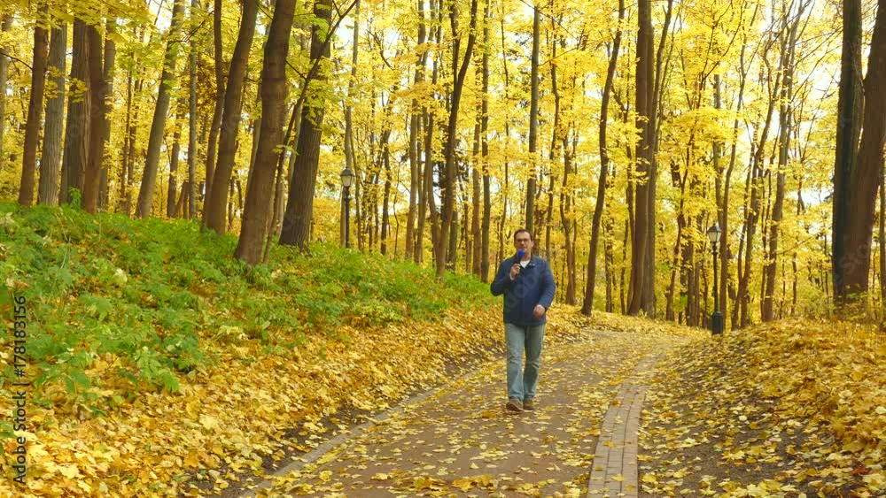 Adult journalist with microphone working in autumn park. Adult journalist with microphone working in autumn park.