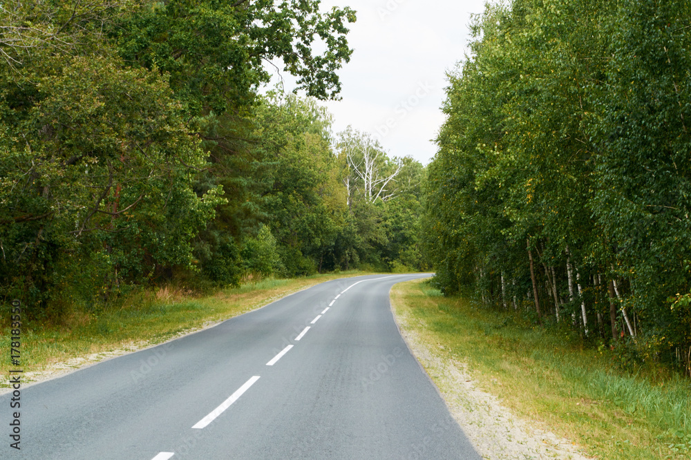 Fototapeta premium long road