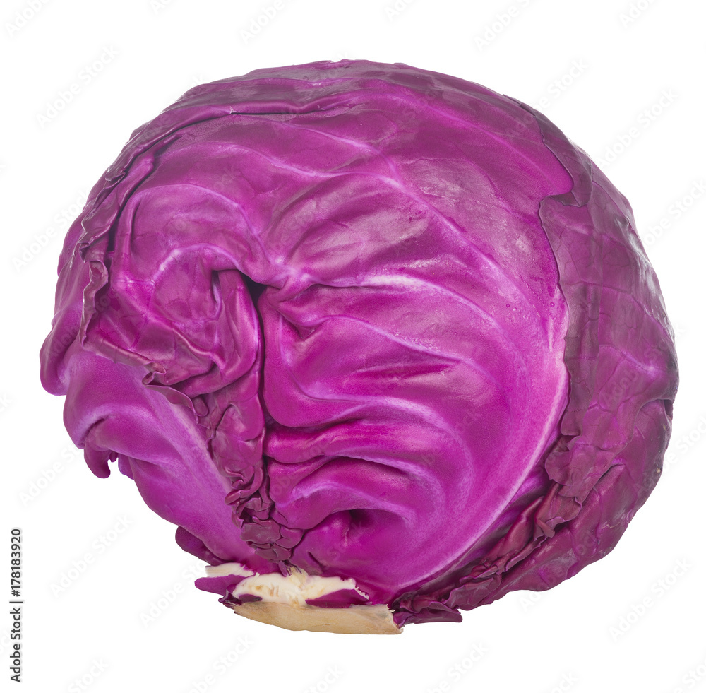red cabbage isolated on white red cabbage isolated on white