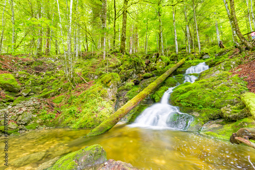 Mountain river background. Green nature scenery with fast river stream and relaxing environment