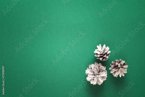 Snow painted pine cones on green background. Copy space, top view, flat lay.