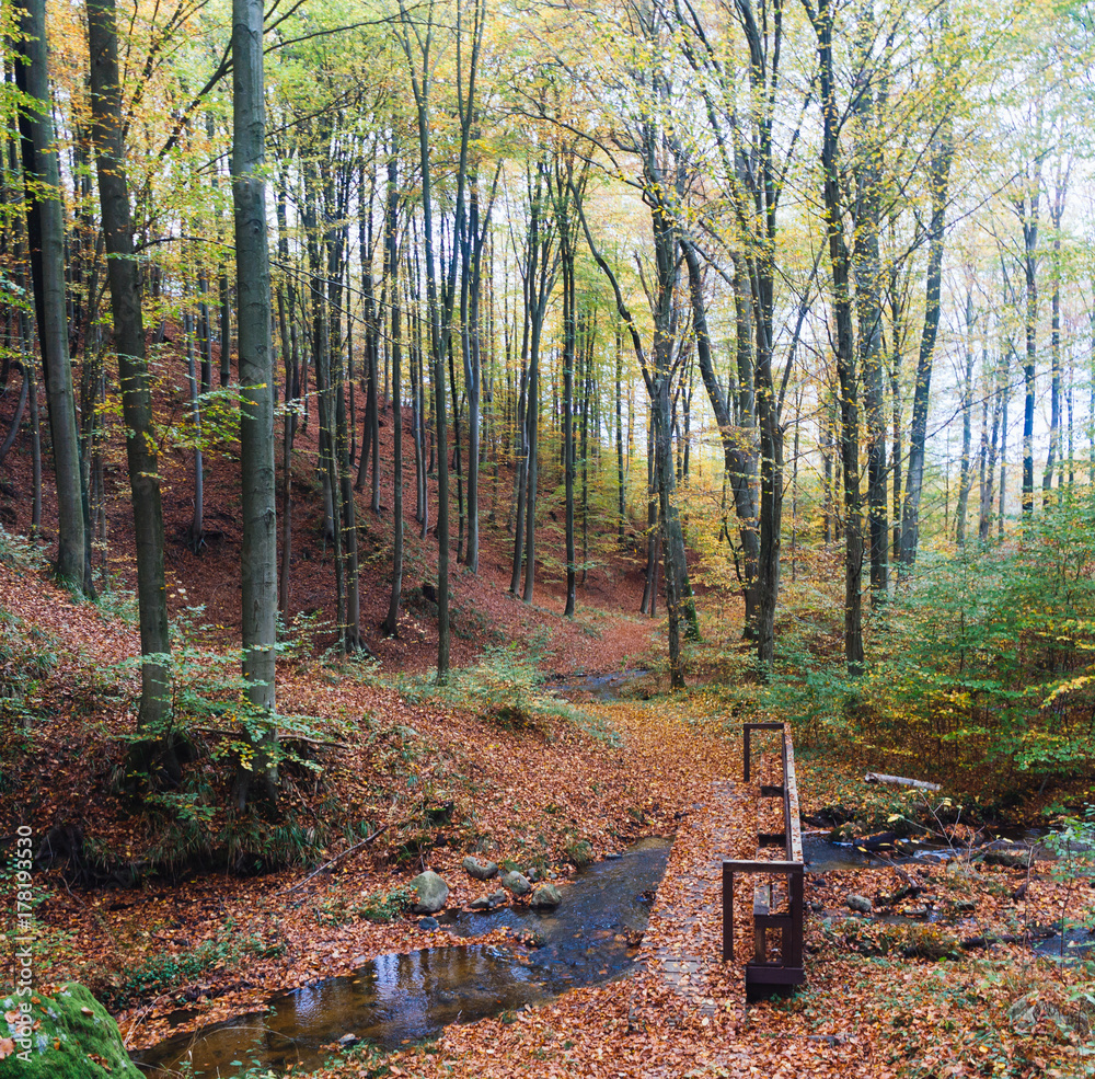 Autumn