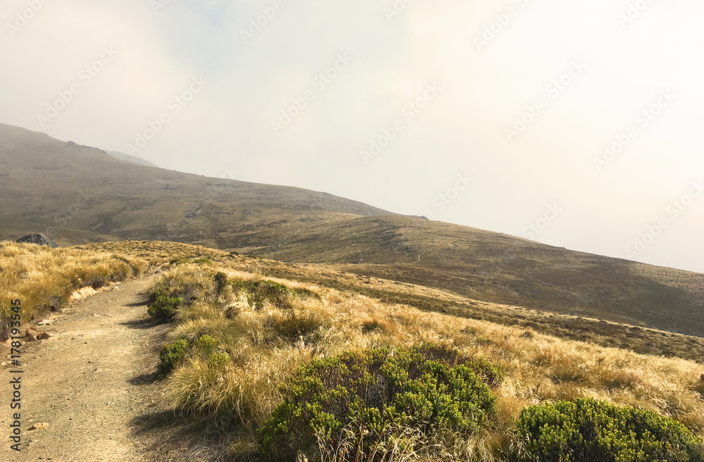 Trail of Kepler Track, New Zealand