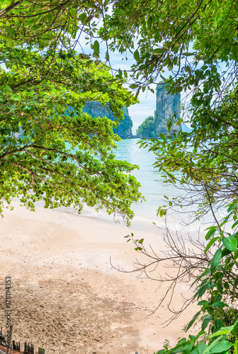 Fototapeta Naklejka Na Ścianę i Meble -  sandy beach and a beautiful bay through the foliage of trees