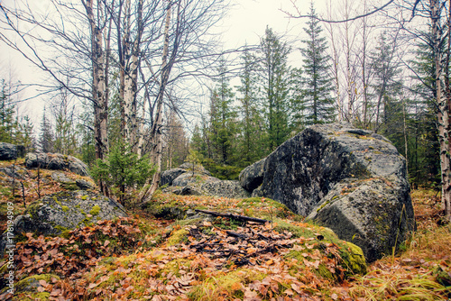 Dark gloomy mystic forest in the mountains with huge rocks in the foreground. Stones, roots of the trees and land are covered with moss. photo