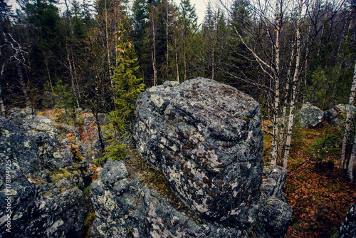 Dark gloomy mystic forest in the mountains with huge rocks in the foreground. Stones, roots of the trees and land are covered with moss. photo