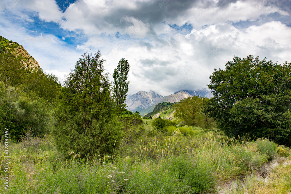 Nature in the mountains of Kazakhstan