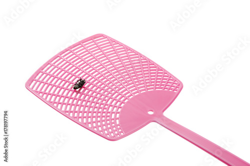 Single pink flyswatter with fly on it isolated on white background. 