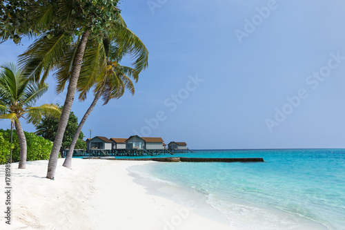 Maldives tropical beach with coconut palms and sea view