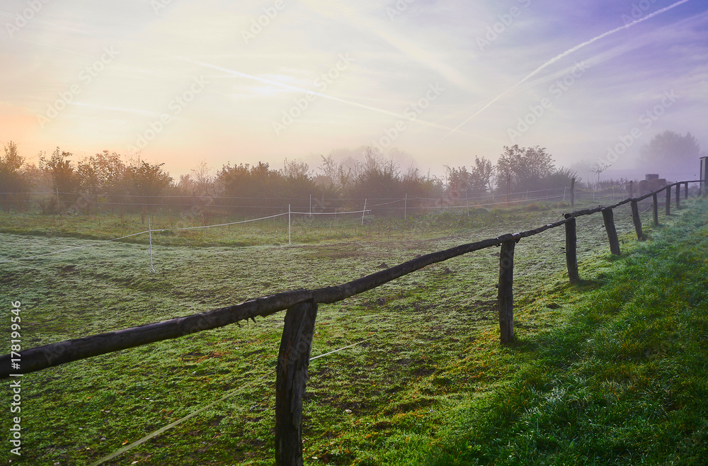 Mist and fog softens the scene early morning at a horse ranch in Germany Mist and fog softens the scene early morning at a horse ranch in Germany