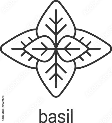Basil linear icon
