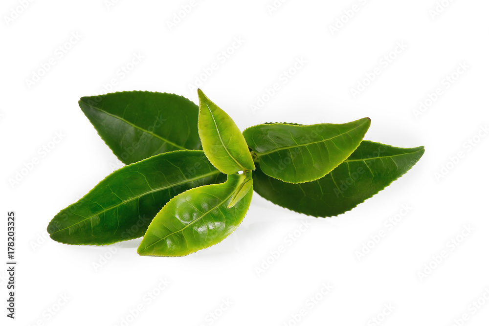 Obraz premium Tea Leaves
