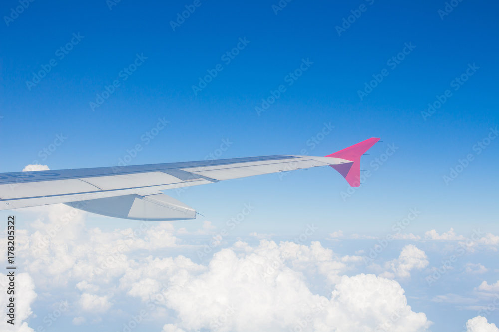 Fototapeta premium The aircraft in flight (airplane, wing, plane)