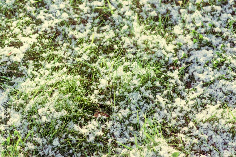 First snow on the grass, late autumn, early winter - cooling concept