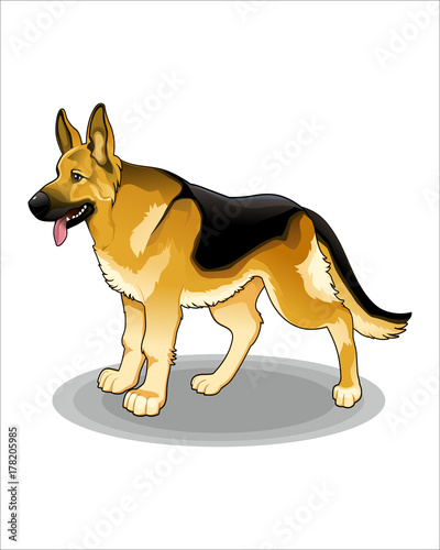 Cartoon of dog-vector drawing-isolated white background