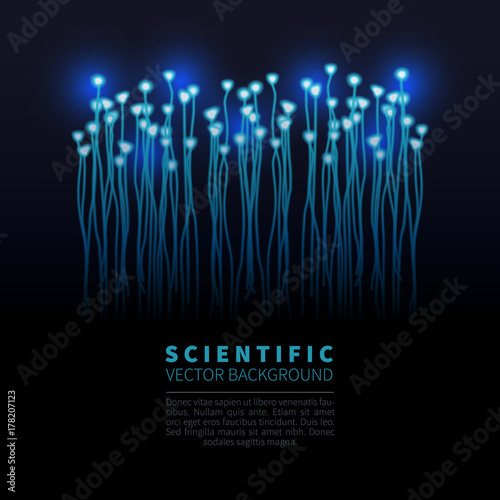 model of neural system