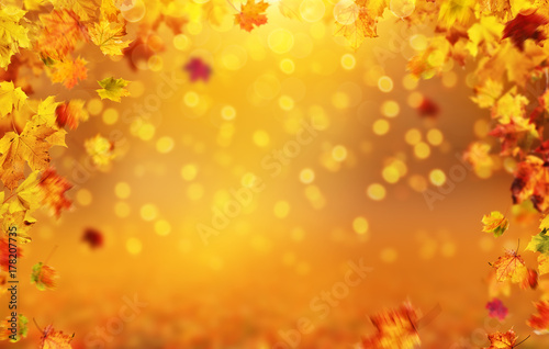 Autumn background with falling leaves, free space for text © Jag_cz
