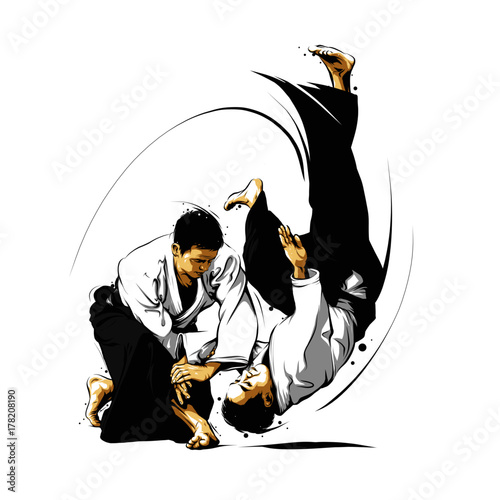 aikido action 1 photo
