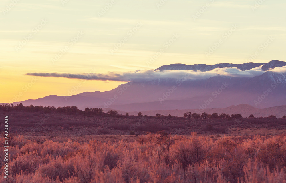 Fototapeta premium Prairie