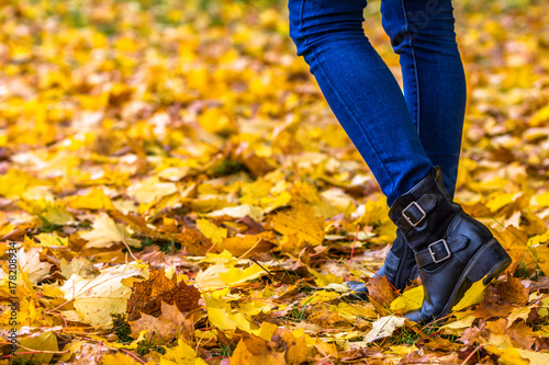 Autumn fashion, shoes on woman's legs in leaves on the ground