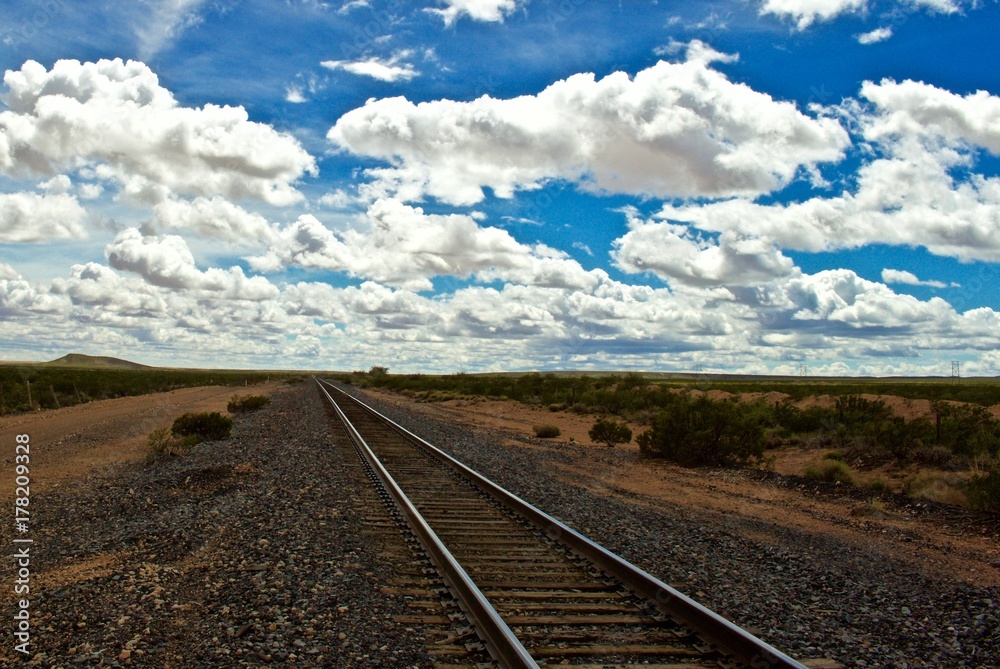 Fototapeta premium Train Tracks to Skyline on Cloudy Day