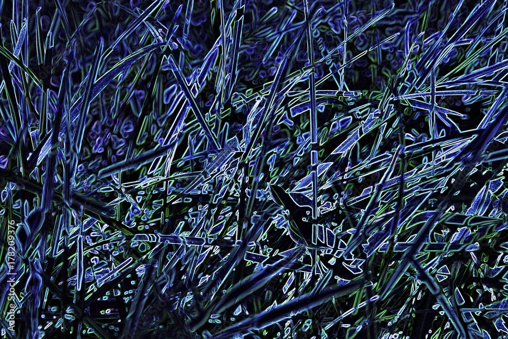 abstract grass abstract grass