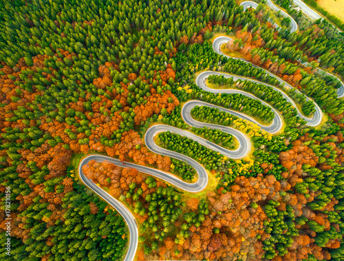 Aerial view of winding road through autumn colored forest photo