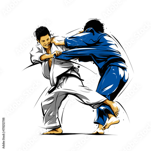 judo action 3 photo