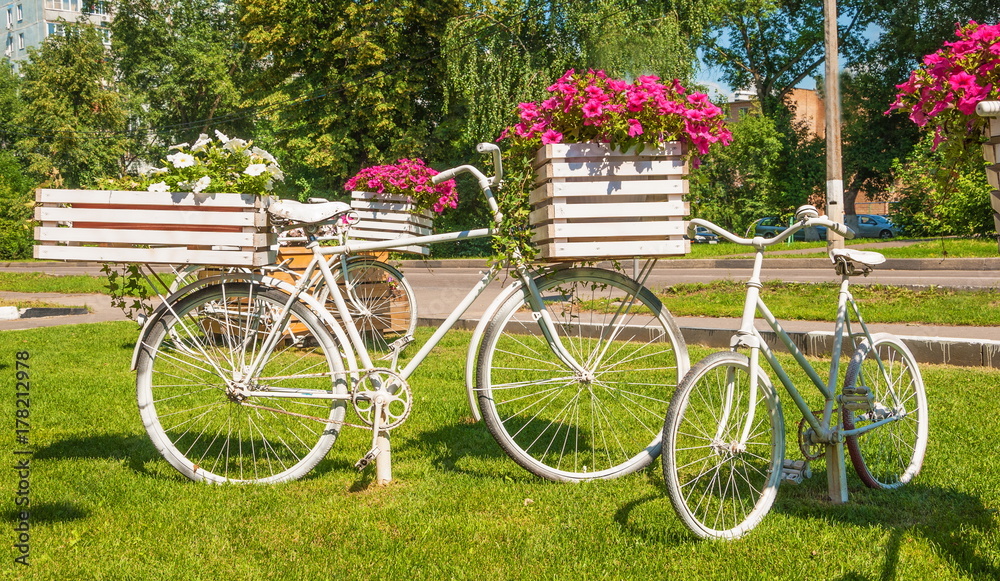 Landscape design. Garden flower beds in the form of bicycles