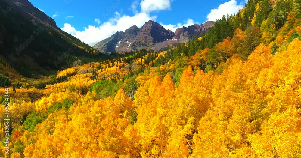 Yellow Fall Foliage With Maroon Bells Mountains In Background - Approaching Aerial Shot - Colorado, USA