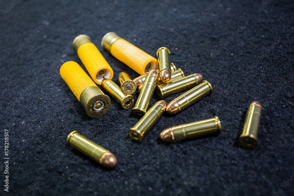 Ammunition Ammunition