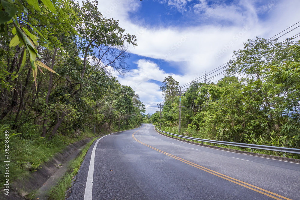 Obraz premium View of the street in natural forests 
